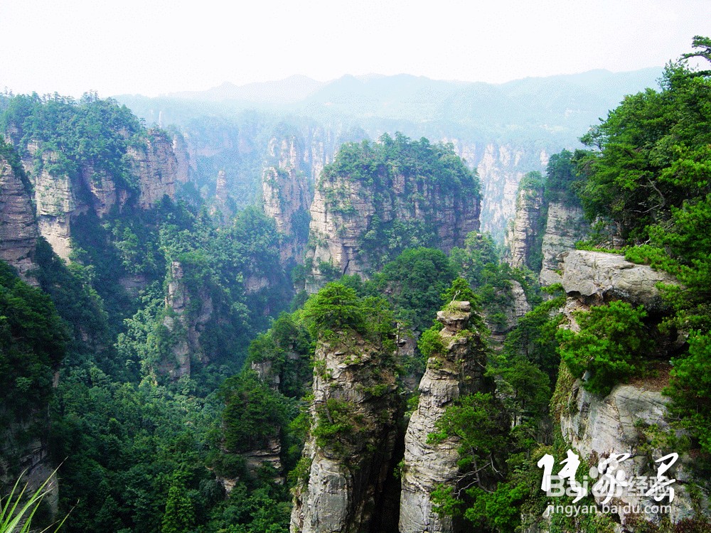 张家界导游俱乐部