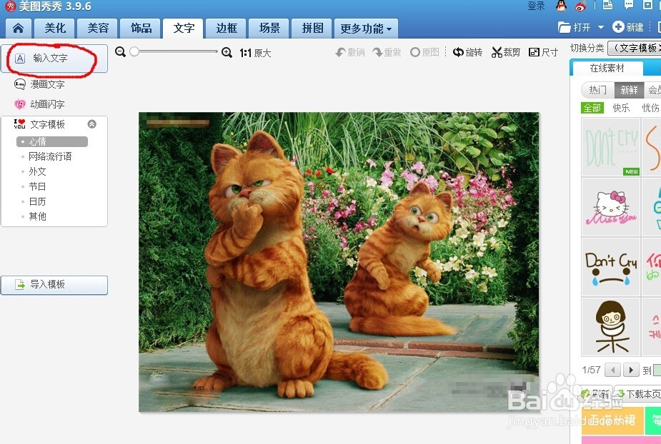 如何给照片添加文字