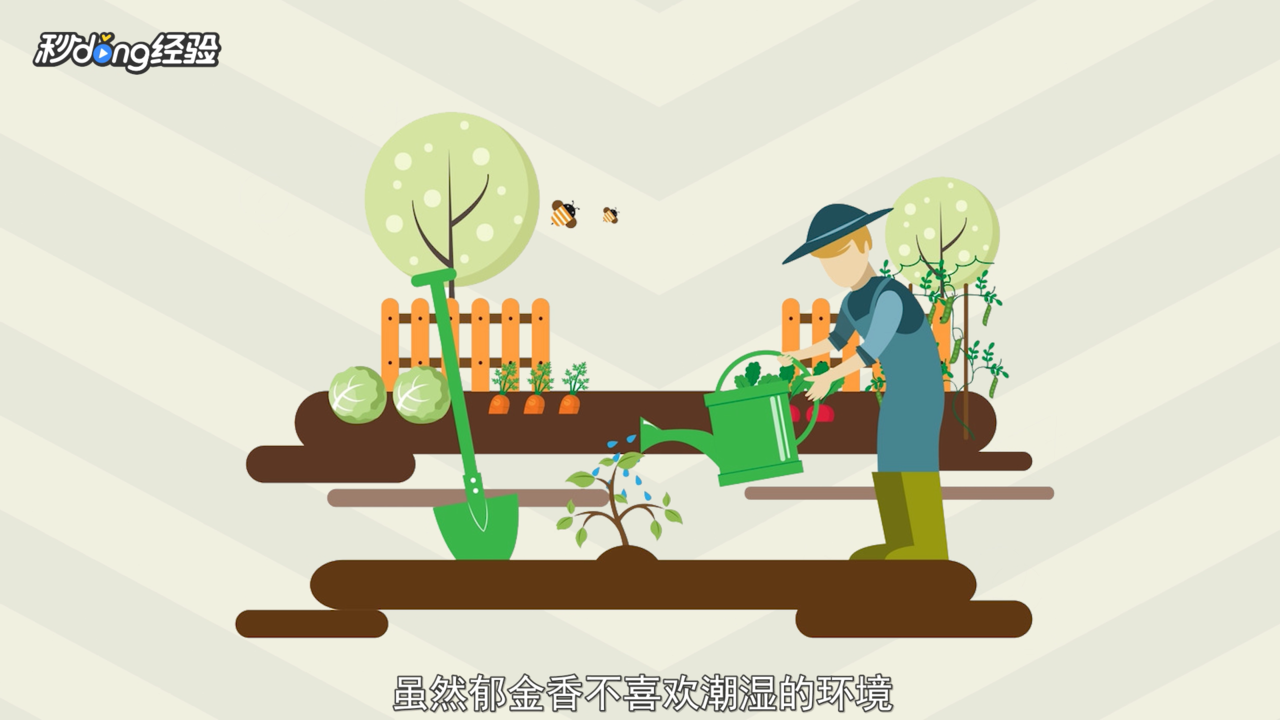 郁金香的种植方法和时间