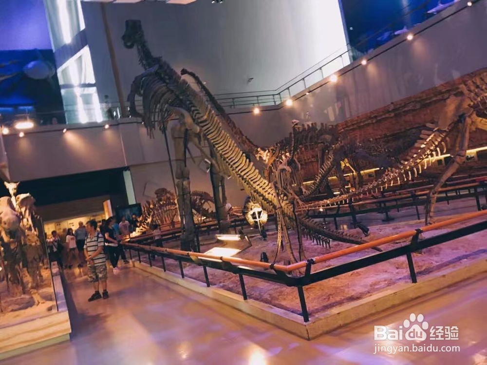 广东省博物馆攻略,广州省博物馆怎么去