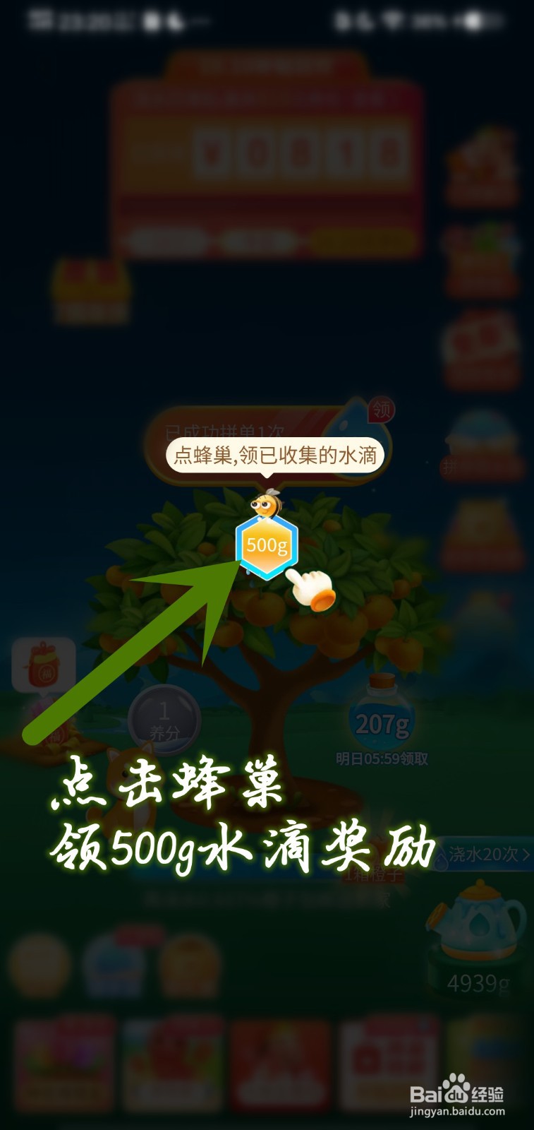 如何在果园领小蜜蜂收集水滴奖励