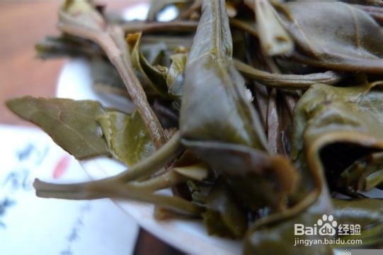 云南普洱茶茶山之行：：[8]曼糯古茶山