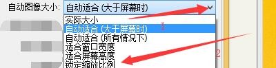 FastStoneViewer如何启用自动锁定缩放比例图像