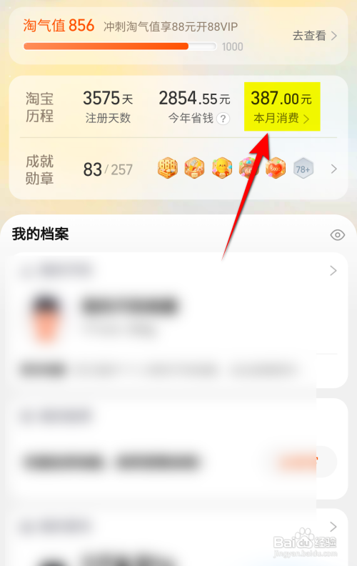 淘宝查看本月消费金额怎么做