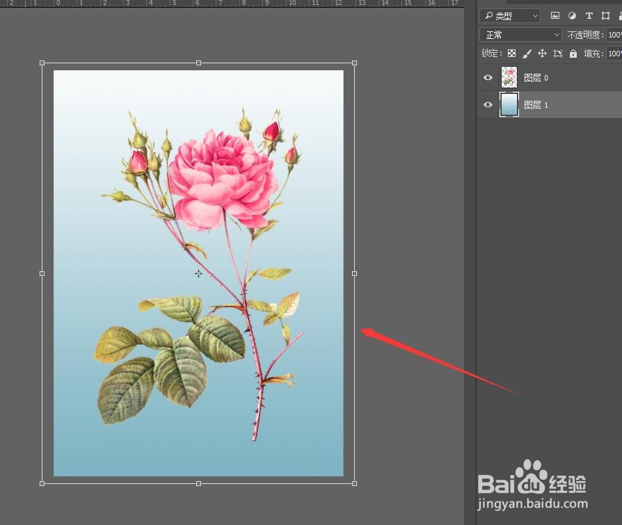 Photoshop如何用裁剪工具来扩展画布