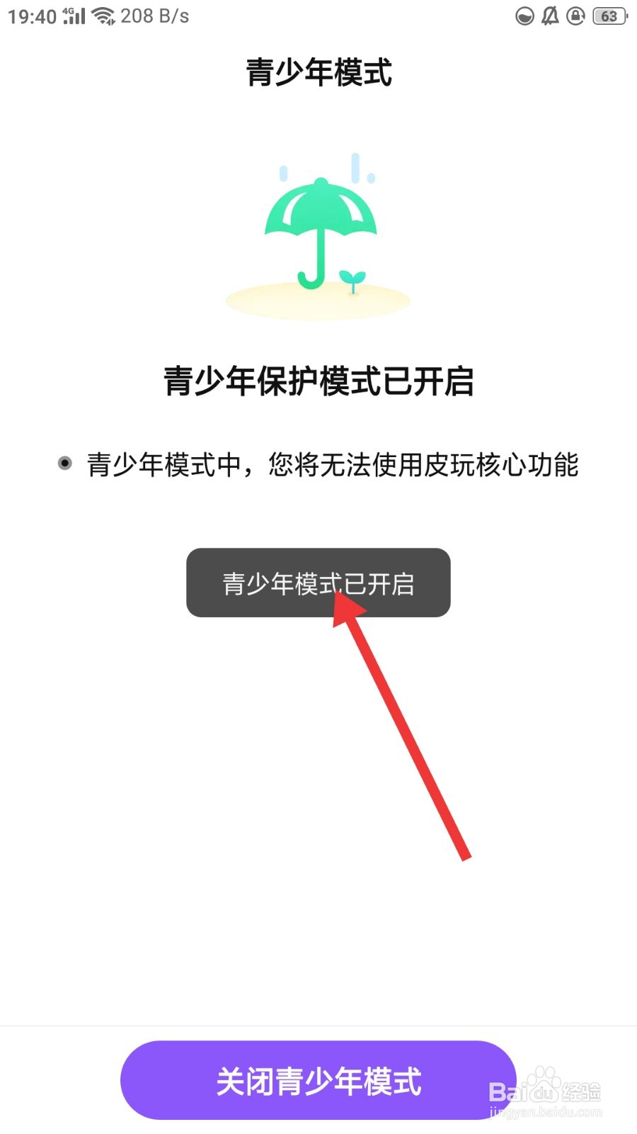 皮玩怎么开启青少年模式