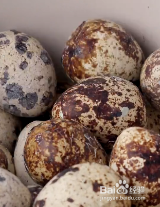 鹌鹑蛋怎么做