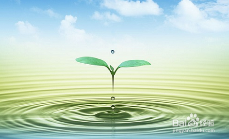 餐饮运行中需要关心的几大问题