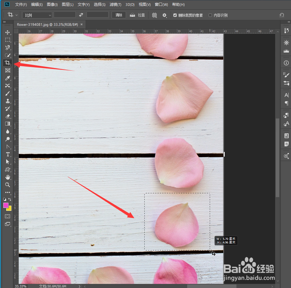 PS怎样制作花瓣画笔预设批量画花瓣