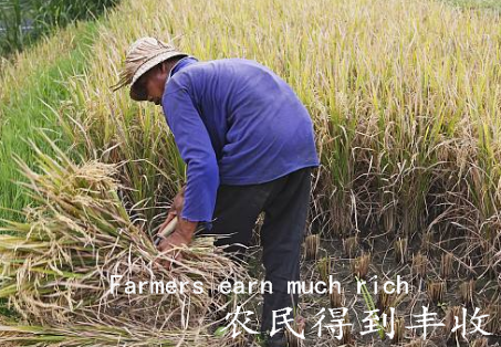 eaoron怎么发音