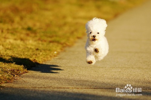 如何摆脱高考后的迷茫？