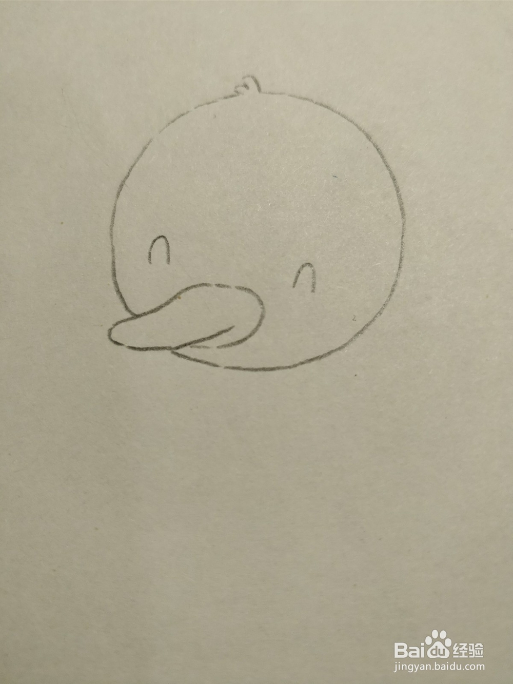 简笔画画卡通可爱小鸭子