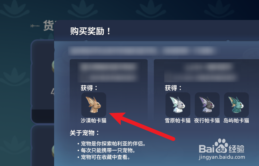 Palia帕里亚怎么获得宠物猫
