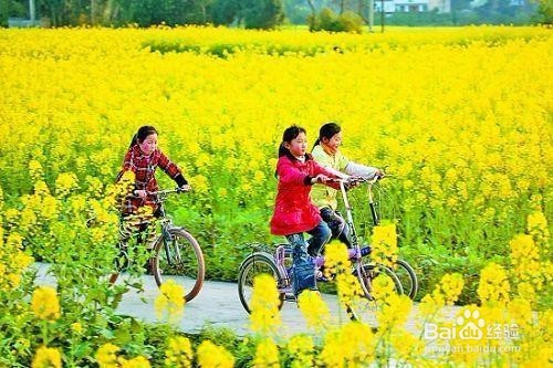 春天旅游的注意事项有哪些