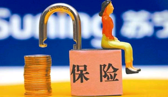 养老保险单位交一份自己能再加一份吗
