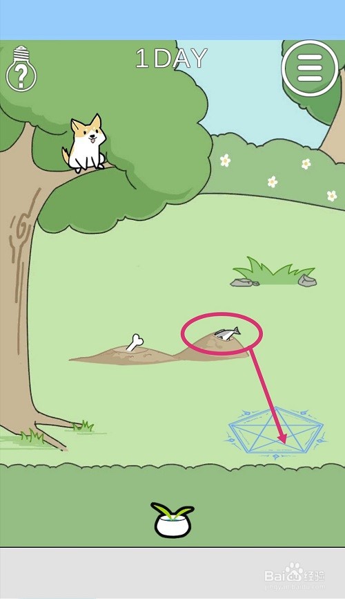 这个动物不正经：第1关游戏攻略