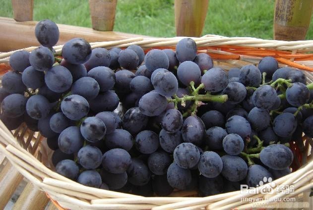 如何手工制作葡萄酒