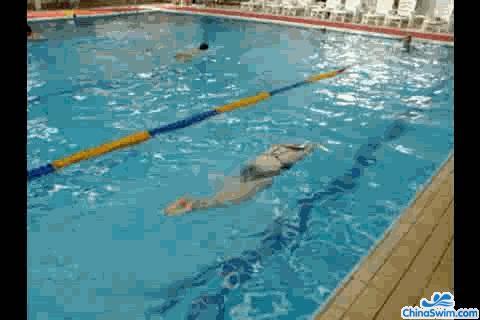 怎样通过找腰找波浪来学习蝶泳