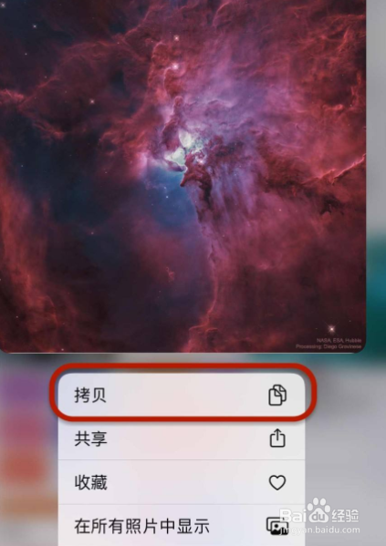 iphone相册拷贝照片在哪