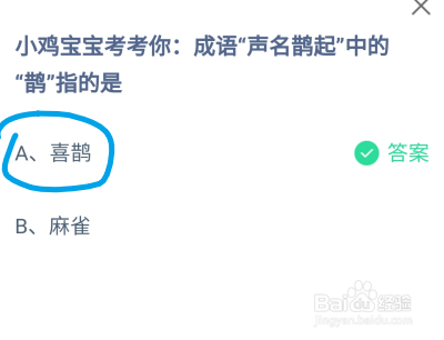 蚂蚁庄园成语