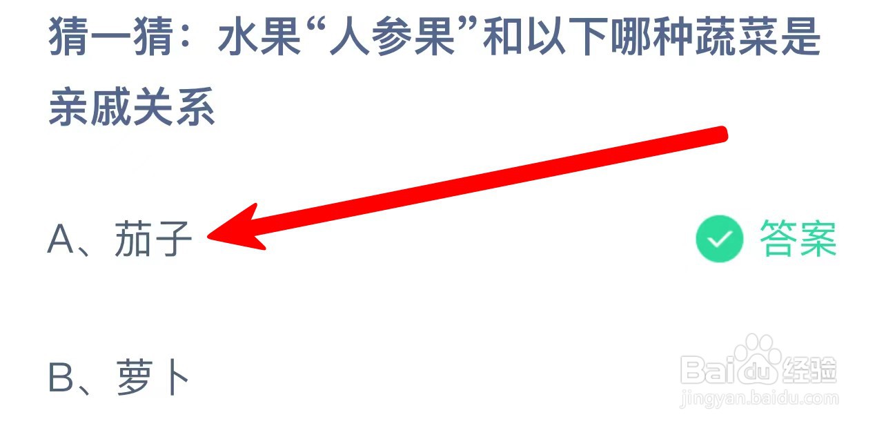 水果人参果和哪种蔬菜是亲戚关系?蚂蚁庄园答案