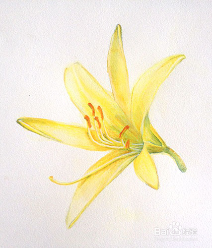 黄花菜怎么保存