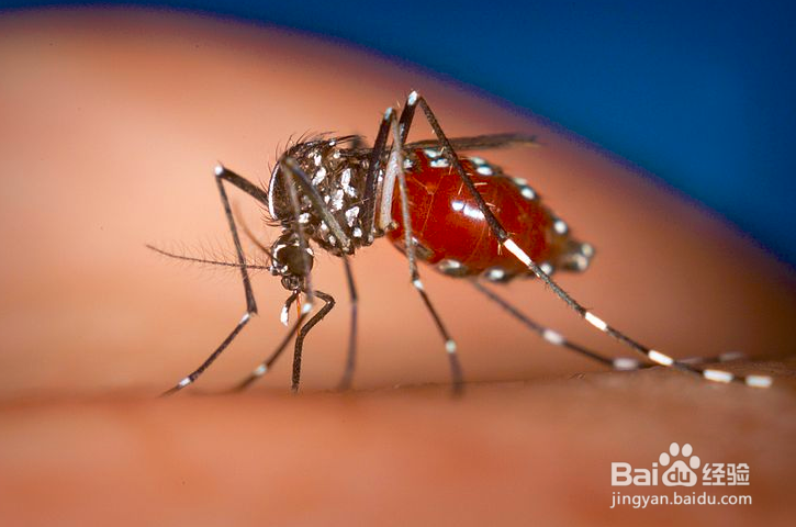 如何不让蚊子叮咬小宝宝