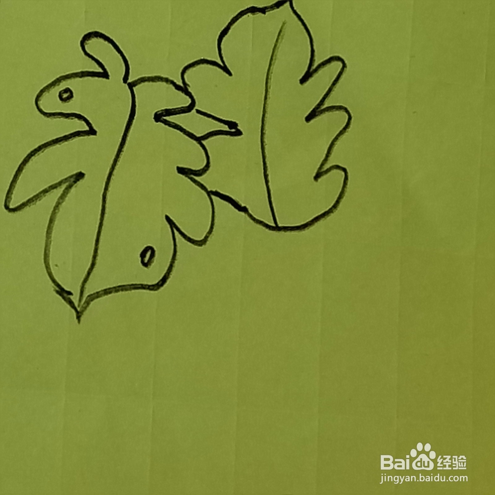 芭蕉叶幼儿简笔画