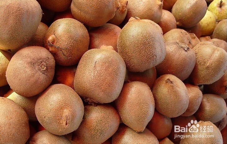 日常饮食该如何呵护我们的眼睛