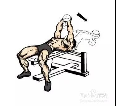 只需一对哑铃,在家锻炼全身肌肉!