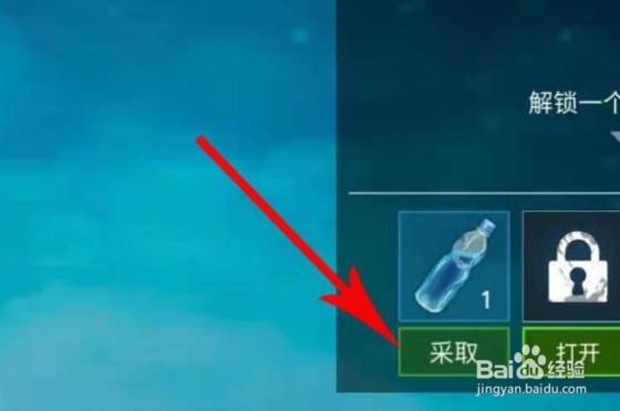 苦荞茶怎么喝