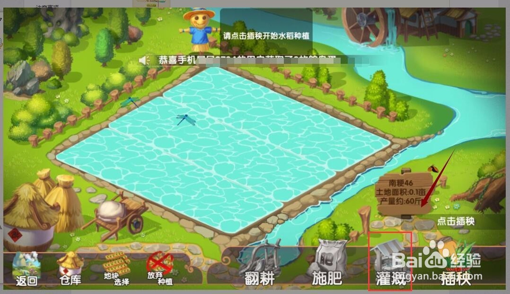 进入一乙农场领取新人奖励鸡蛋与养殖10只鹌鹑