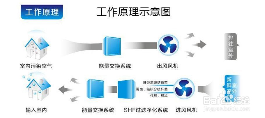 除甲醛的甲醛清除剂哪个好