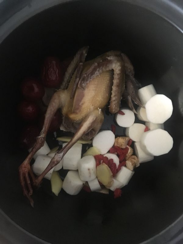 西洋参滋补养生鸽子汤