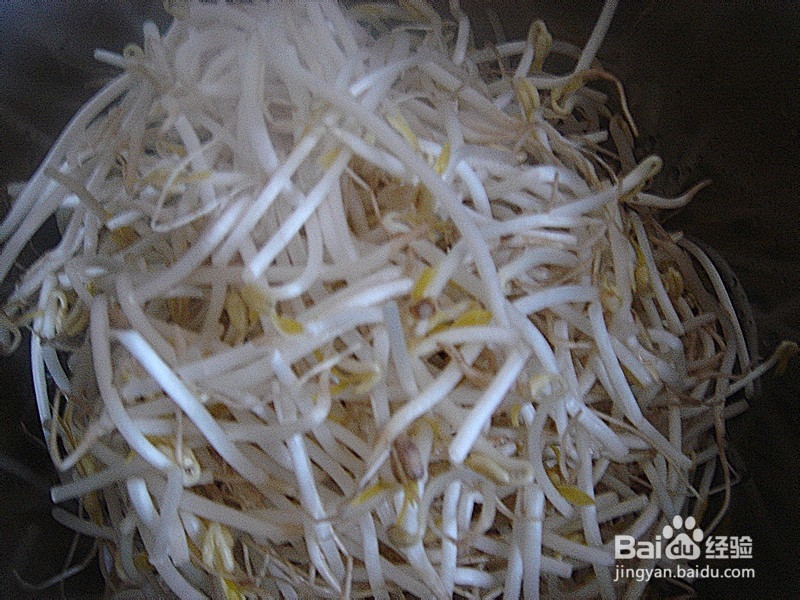 葱香绿豆芽——舌尖上的家常味道