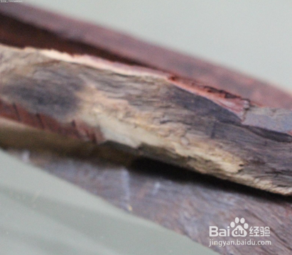 小叶紫檀佛珠专卖店靠谱吗?揭开造假内幕!