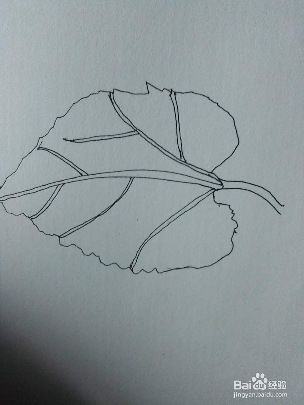 呆耳的水彩画法