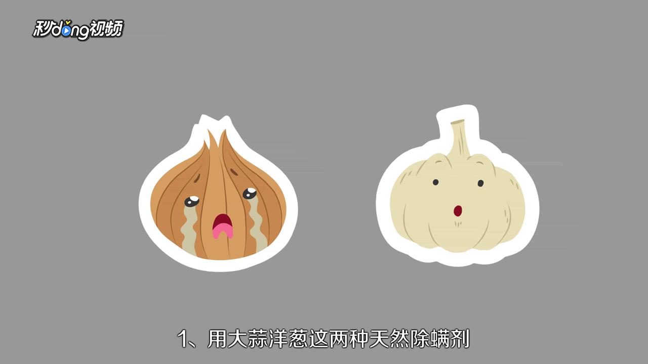 怎么简单的去头螨