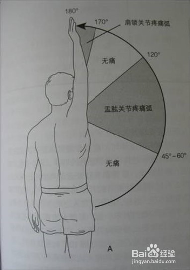 如何进行肩关节的特殊查体