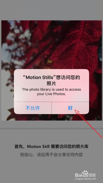 iPhone live photo怎么转成gif动图 转成mp4视频