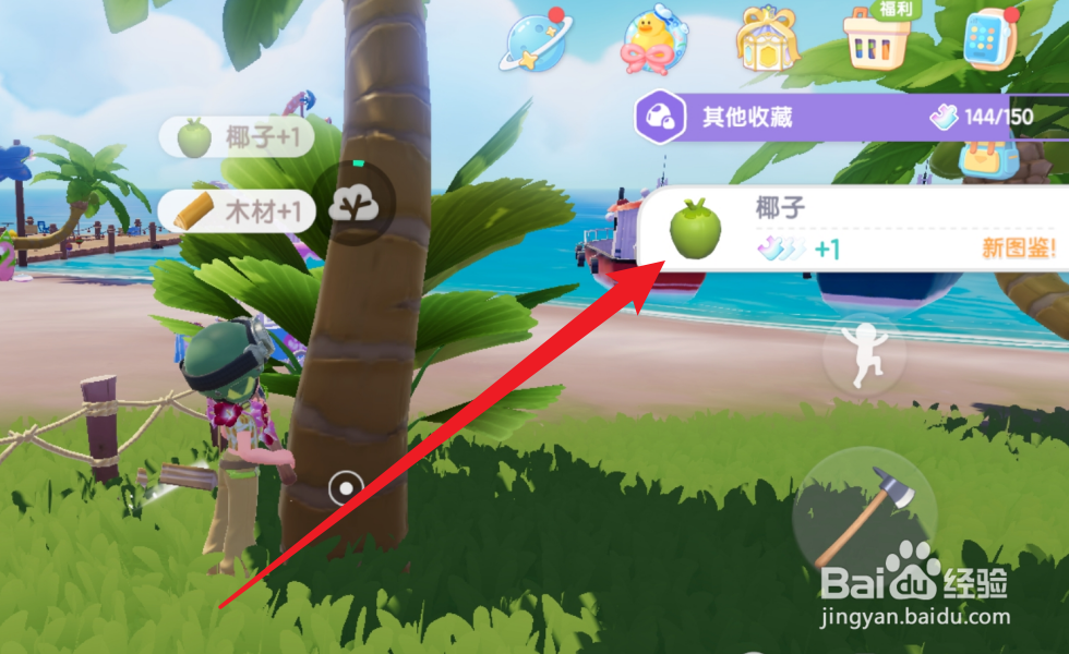 心动小镇怎么获得椰子
