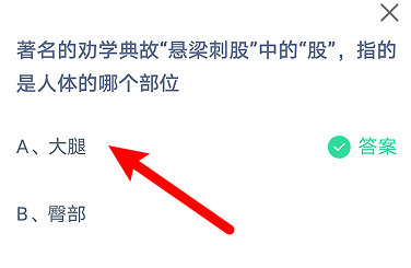 蚂蚁庄园悬梁刺股中的股，指的是人体的哪个部位