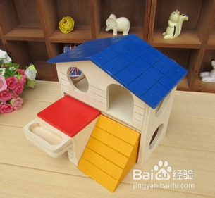 怎样饲养仓鼠---如何挑选小宠玩具及注意事项