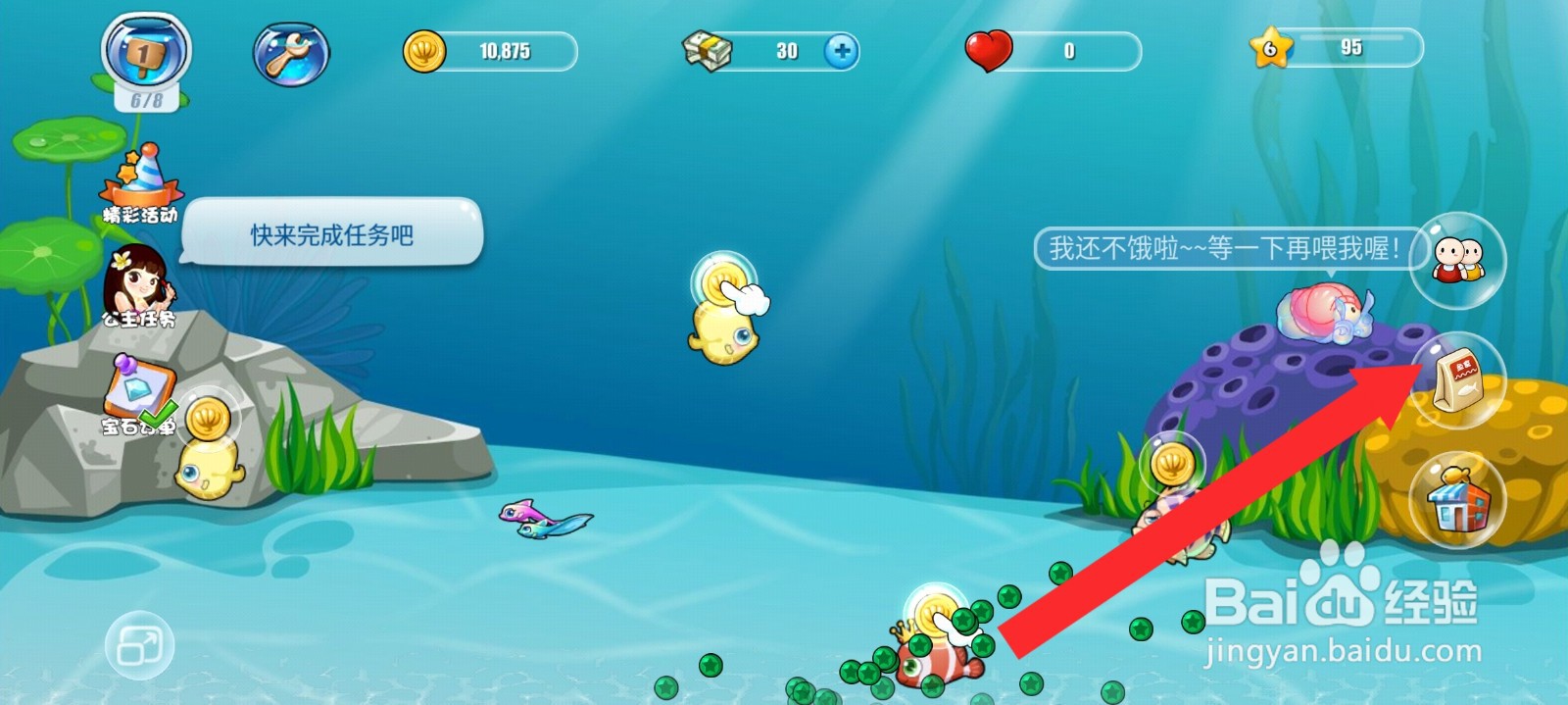 开心水族箱如何购买冰心鱼食