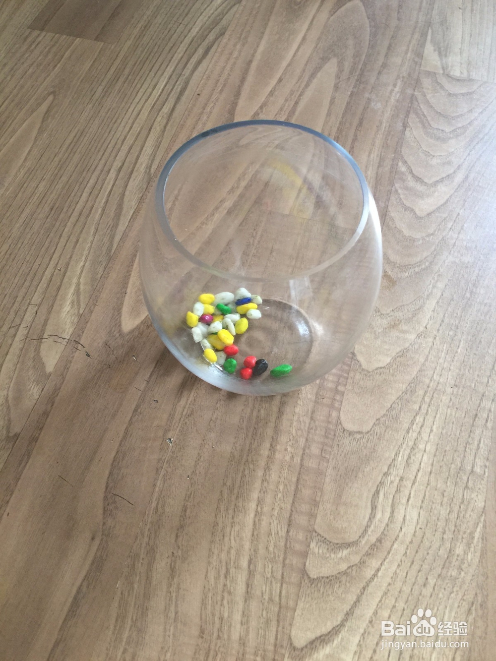 勿忘我干花花束速变瓶插花