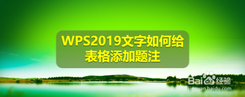 WPS2019文字如何给表格添加题注