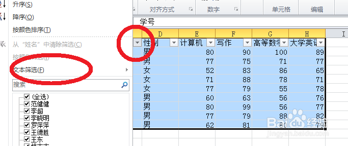 2010Excel技巧大全数据的自定义筛选