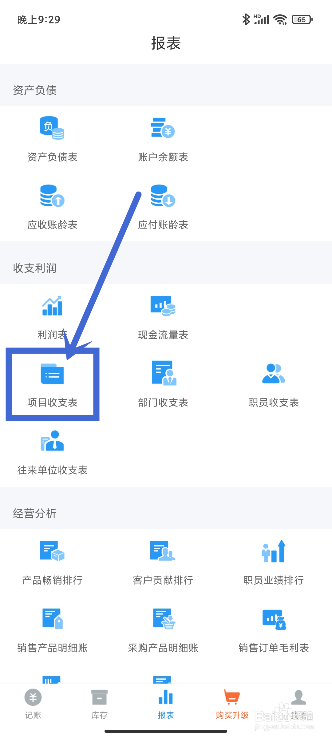 如何在《账王记账》App中查找项目收支表？