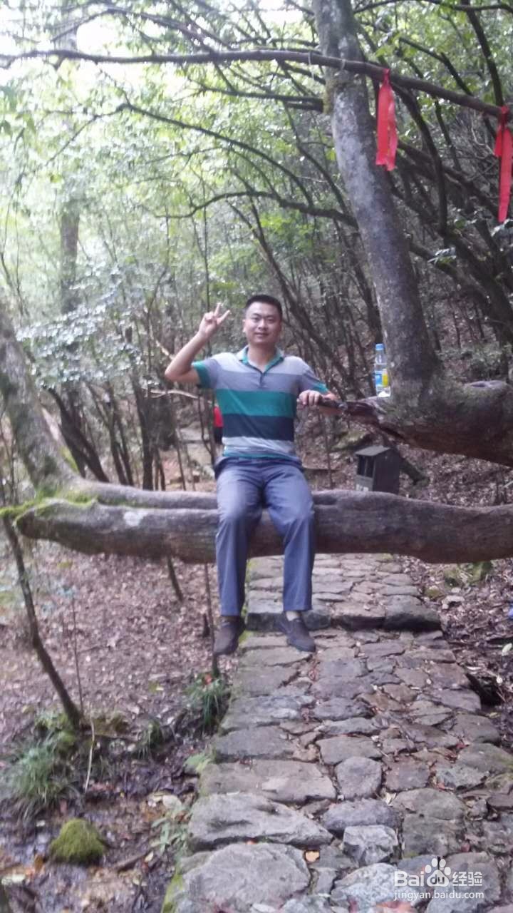 长寿之乡庆元行攻略