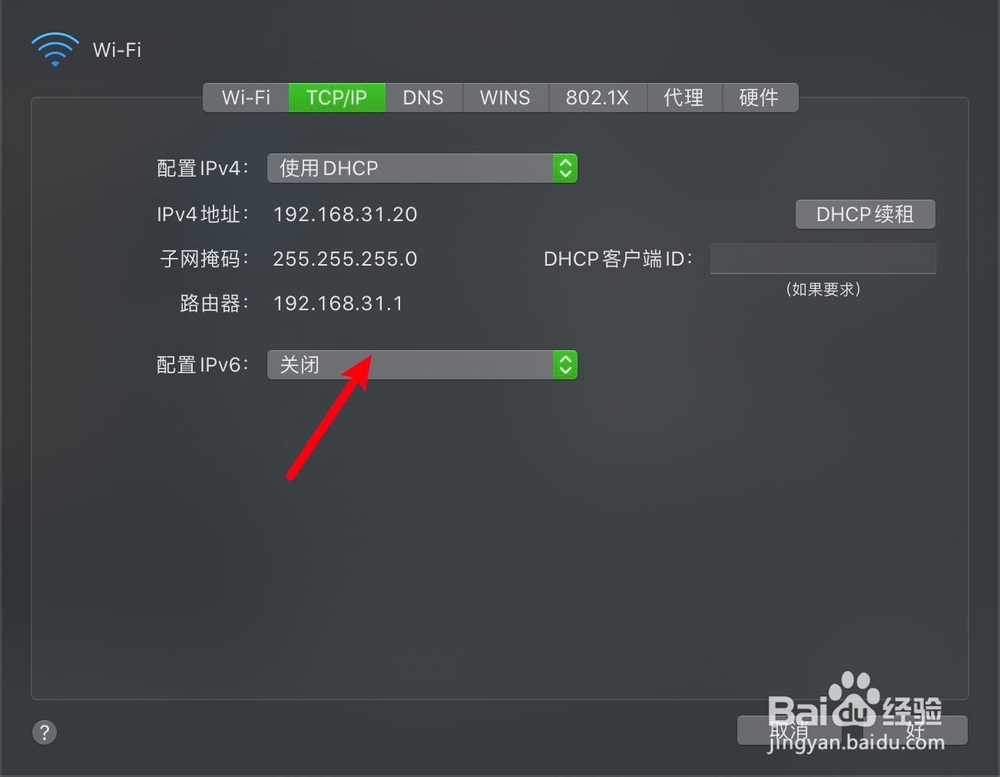 苹果电脑怎么自动获取IP